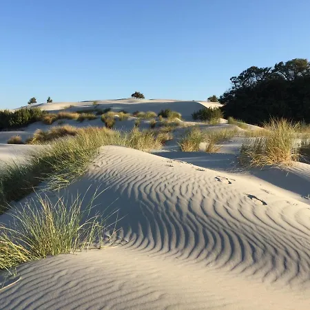 Апарт-отель Aquamarina Con Jacuzzi Riservata & Порто-Пино