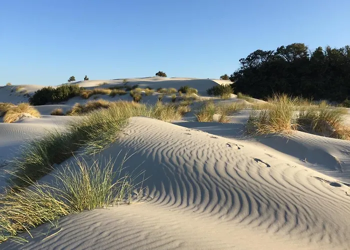 Aparthotel Aquamarina Con Jacuzzi Riservata & Porto Pino